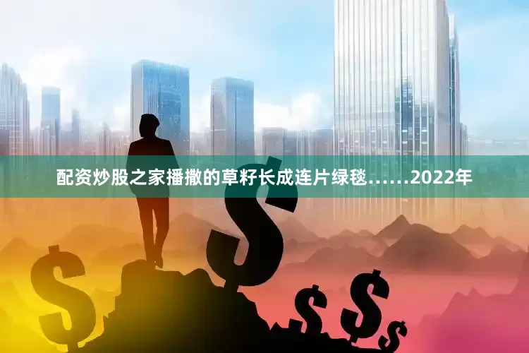 配资炒股之家播撒的草籽长成连片绿毯……2022年