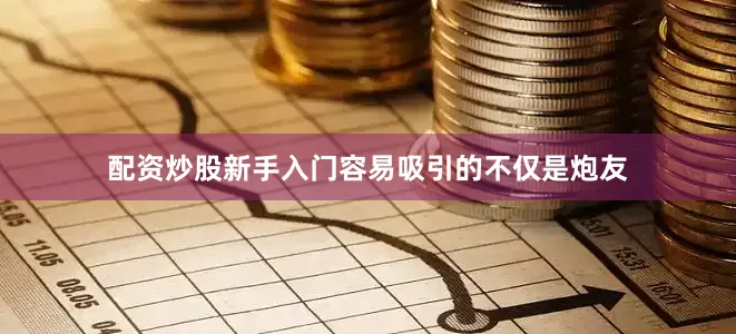 配资炒股新手入门容易吸引的不仅是炮友