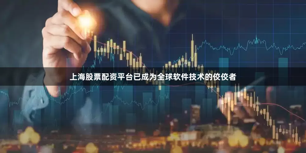 上海股票配资平台已成为全球软件技术的佼佼者