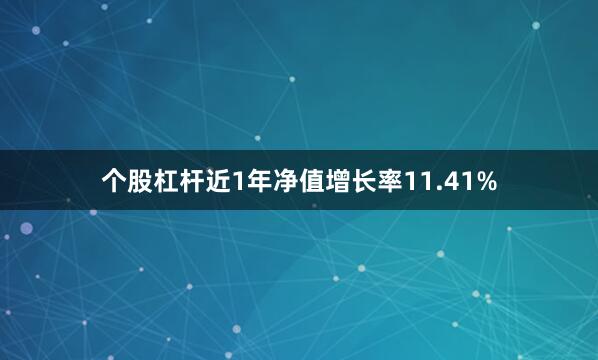 个股杠杆近1年净值增长率11.41%