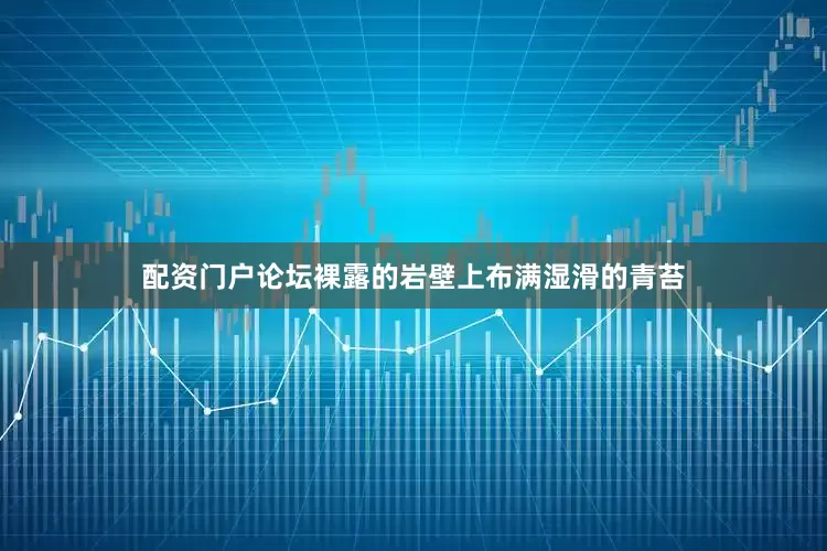 配资门户论坛裸露的岩壁上布满湿滑的青苔