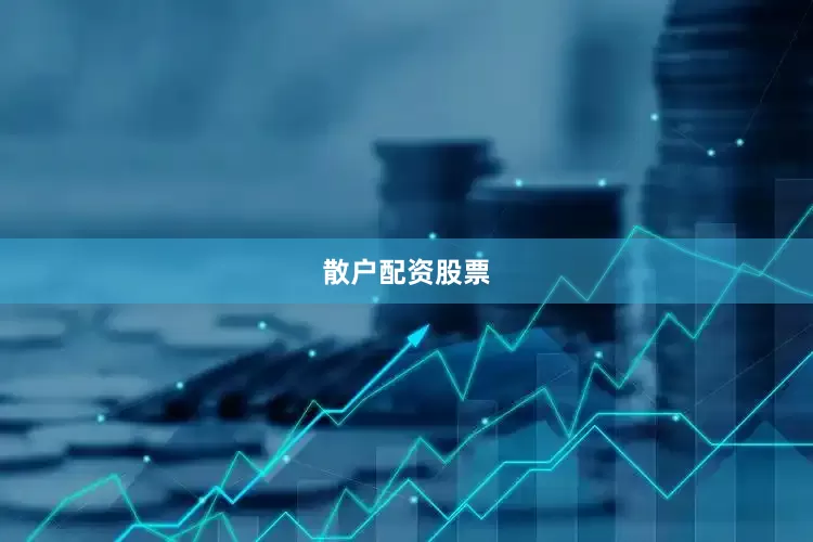 散户配资股票