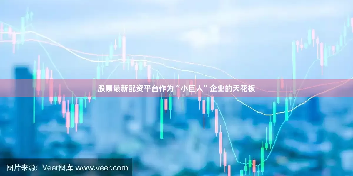 股票最新配资平台作为“小巨人”企业的天花板